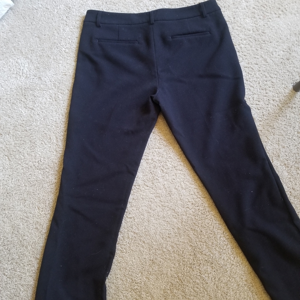 Express dress pants